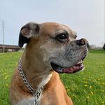 @janetstich20 - Instagram
