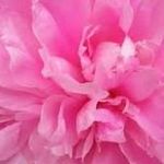 Janet Stinson - @janetstinson9 - Instagram