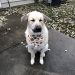 Janet Stitt - @jmcrstitt - Instagram