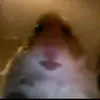 JanetteStoll - @janettestolldgjbbubg - TikTok
