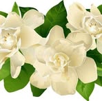 Janet Johns Stowe - Facebook