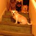 Janet Strickler - Facebook