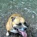 Janet Stripling - Facebook