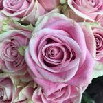 Janet Strunk - @janetstrunkart - Instagram