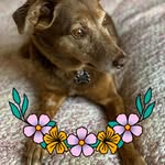 Janet Suggett - @janetsuggett - Instagram