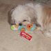 Janet Sutter - Facebook