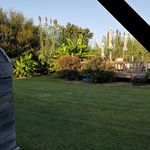 Janet Swindle - @janetswindle0945 - Instagram