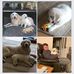 Janet Swindle - Facebook