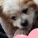 Janet Talbot - @janet.talbot.14 - Instagram