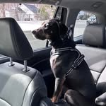 Janet Talbot - @jltalbot36 - Instagram