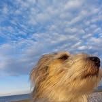 Janet Talbot - @jannynorman13 - Instagram