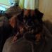 Janet Talbot - Facebook