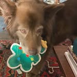Jane Swinehart-Tallman - @swineharttallman - Instagram