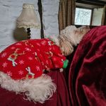 Jane Telford - @first_jet2006 - Instagram