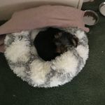 Janet Thrasher - @janet.thrasher.3192 - Instagram