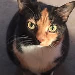 Janet Tice Clugston - @clugstonjanet - Instagram