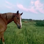 Janet Timmons - @janetrieman32 - Instagram