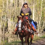 Janet Timmons Long - @horselovingal52 - Instagram