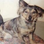 Janet Tipton - @dolphin196262 - Instagram
