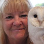 Janet Tipton - @janet.tipton.96 - Instagram
