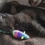 Jane Tolman - @janetolman - Instagram