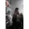 janettowers6 - @janettowers6 - TikTok