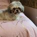 Janet Trapper - Facebook