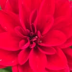 Janet Treadway - @jhtreadgmail.com1 - Instagram