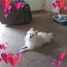 Janet Tripp - Facebook