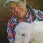 Janet Tulloch - @janet.tulloch.54 - Instagram