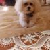 Janet Twigg - Facebook