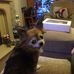 Janet Twigg - Facebook
