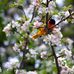 Janet Underhill - Facebook