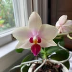 Janet Usher Shriver - @momamiga - Instagram