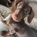 Janet M Ewing - @janethartzogveach - Instagram