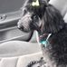 Janet L.Wahl - Facebook