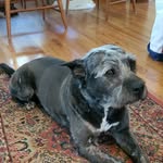 Janet Waldman - @jwaldman2024 - Instagram