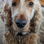 Janet Warnock - @janet.warnock.9 - Instagram