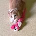 Janet Warnock - Facebook