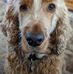 Janet Warnock - Facebook