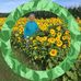 Janet Weiler - Facebook