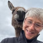 Janet Weisberg - @janetweisberg - Instagram