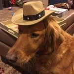 Janel Wheaton Myers - @jmwheaties - Instagram