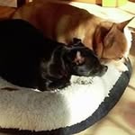 Janet Wheaton - @wheaton.janet - Instagram