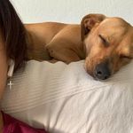 Janet Ang Whiteman - @jwhiteman - Instagram