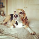 Janet Whiting - @janet.whiting.167 - Instagram