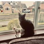 Janet Whiting - @janet.whiting.3745 - Instagram