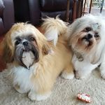 Janet whiting - @janetwhiting1357 - Instagram