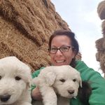 Janet Whiting - @jeawhiting - Instagram