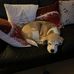 Janet Whiting - Facebook